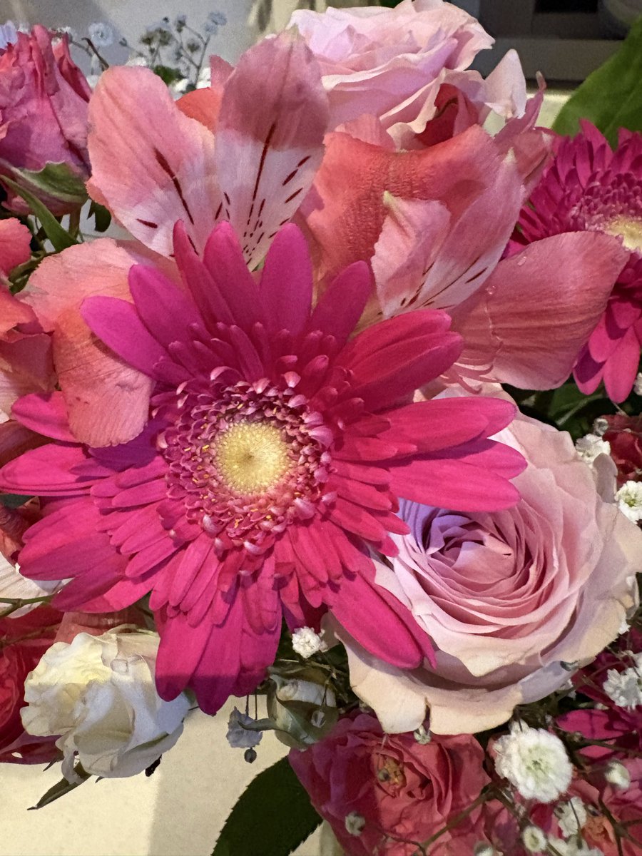 marimo3seidesu's tweet photo. いただいたお花に癒されております、プレゼントもたくさん🎁ありがとうございました✨✨ https://t.co/0UhcVWDgGO