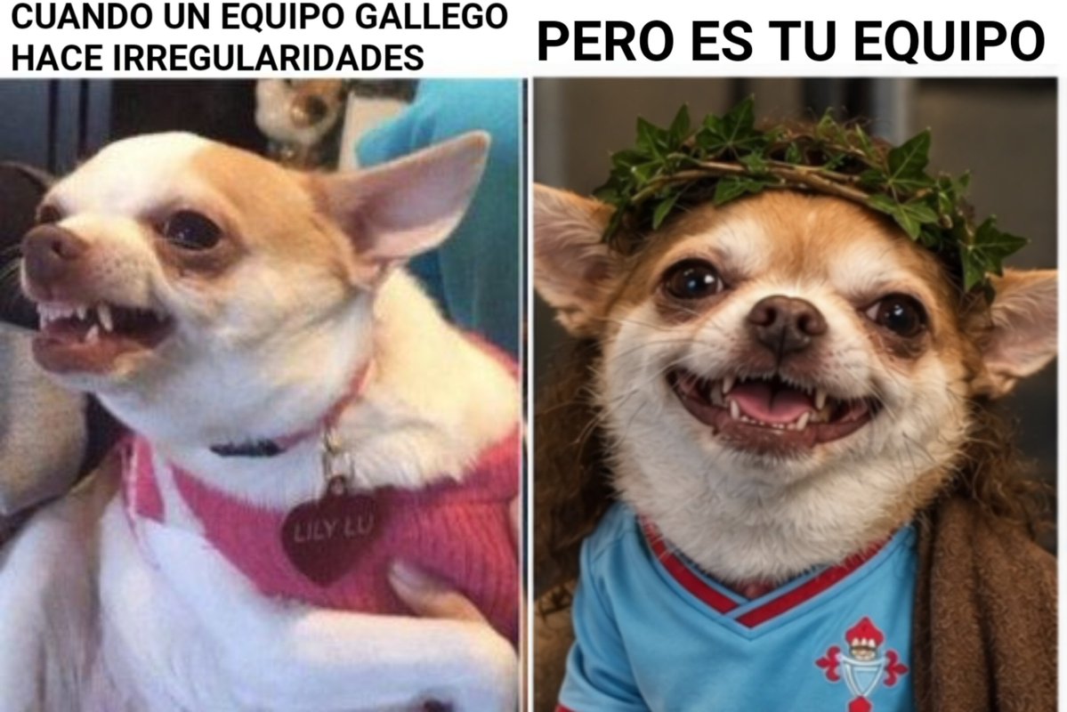 Patxicito's tweet photo. https://t.co/poTYXUJHtK