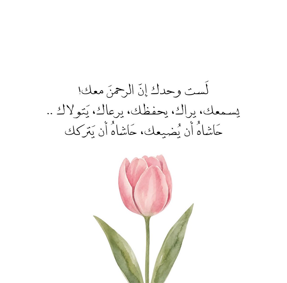islamiat__'s tweet photo. https://t.co/qD6salGkwH
