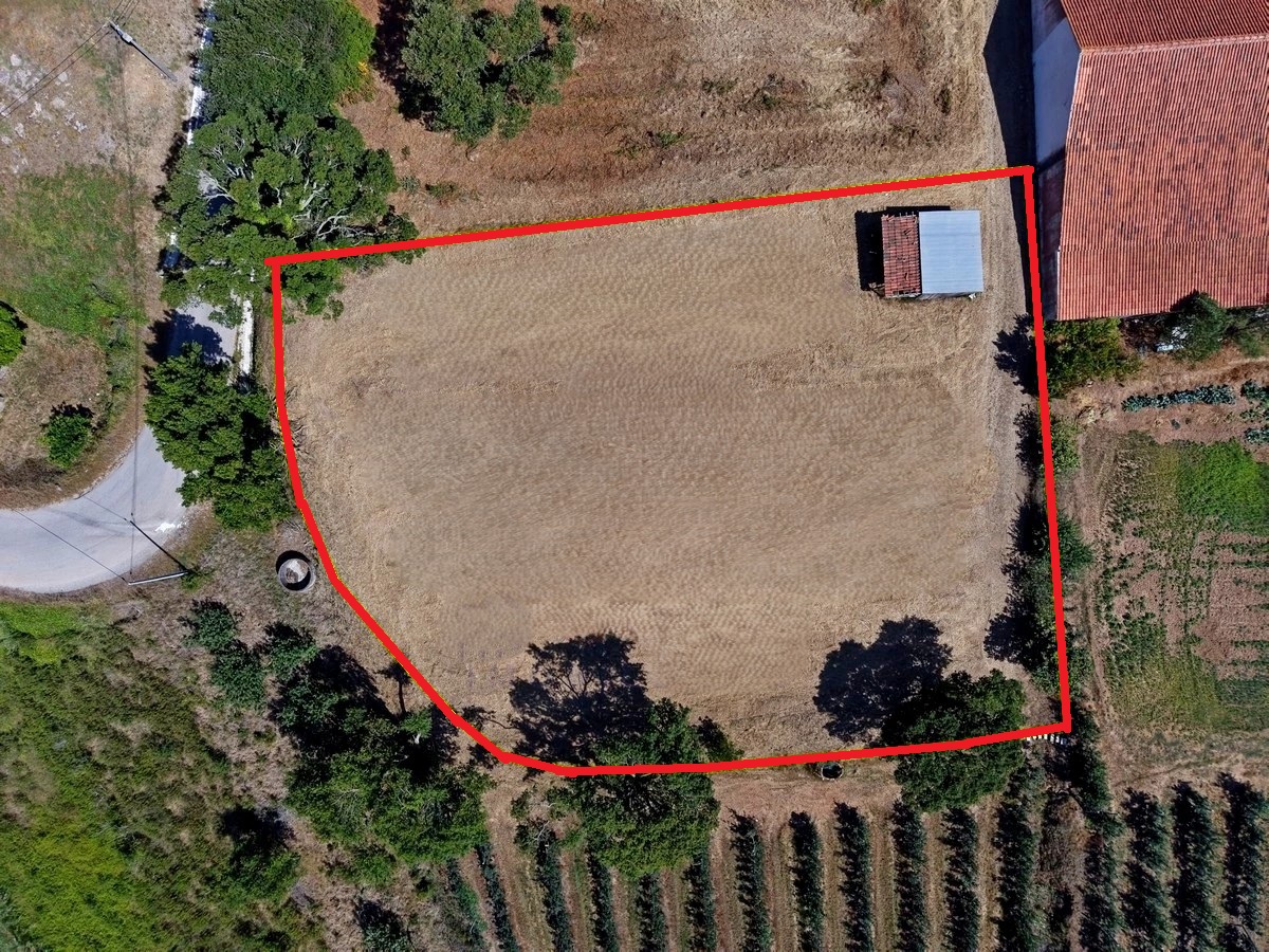 rainhavip's tweet photo. ⭐OPORTUNIDADE! Terreno com vista panorâmica de campo ⇝ 55.000EUR
Área total: 1900m2
- a 15 minutos de São Martinho do Porto.

👉 mais info: https://t.co/Lq2Oyos2iI

#Alcobaça #Vimeiro #SãoMartinhoDoPorto #CaldasDaRainha #Óbidos https://t.co/elYf0x6oZ8