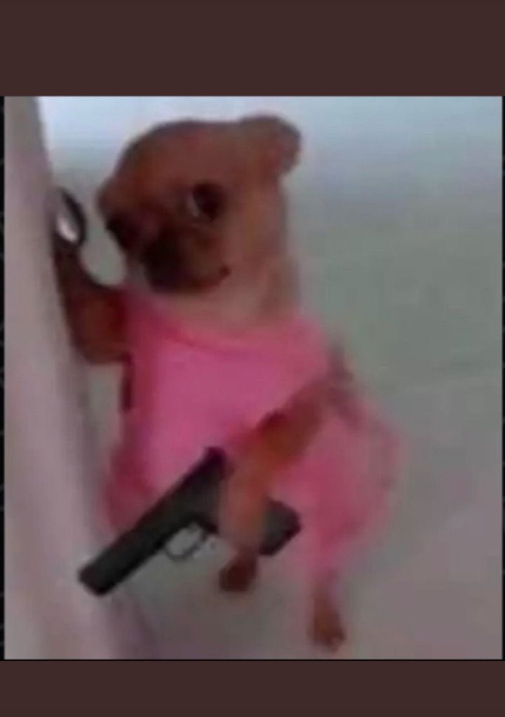 ThegirlkingLily's tweet photo. “Everyone supporting Keivo is a violent person “

Ok https://t.co/yfmAWNy3G2