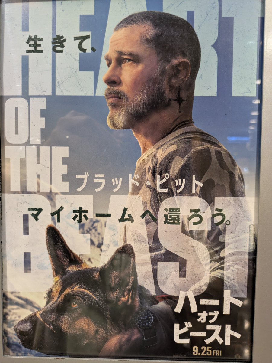 kurappin's tweet photo. ブラビは、さすがや。
でもね、アカデミー賞史上初めて、犬が主演男優賞取るかも(^o^)
#ハートオブビースト https://t.co/5XkT6UPzag