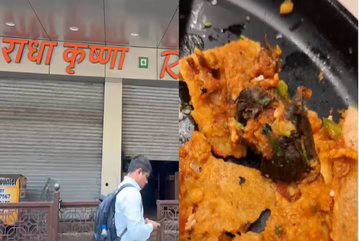 ndtv's tweet photo. Dead Rat Found In Mysore Masala Dosa At Borivali Eatery, Customer Files Police Complaint https://t.co/xnikkjkhyP https://t.co/33uuFYe5Qp