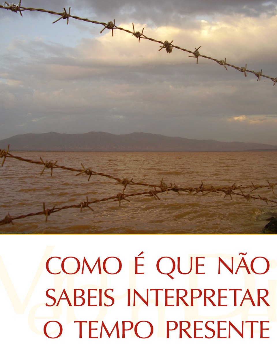 vaticannews_pt's tweet photo. "Hipócritas! Vós sabeis interpretar
o aspecto da terra e do céu.
Como é que não sabeis
interpretar o tempo presente?"

#EvangelhodeHoje Lc 12,54-59
https://t.co/ViaP3Luo9h https://t.co/qTe1PnEqci