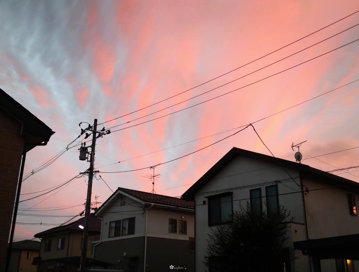 ujucosnap's tweet photo. September 29, 2026
夕やけ小やけ
#ujucosnaps https://t.co/imeNGvDSsN