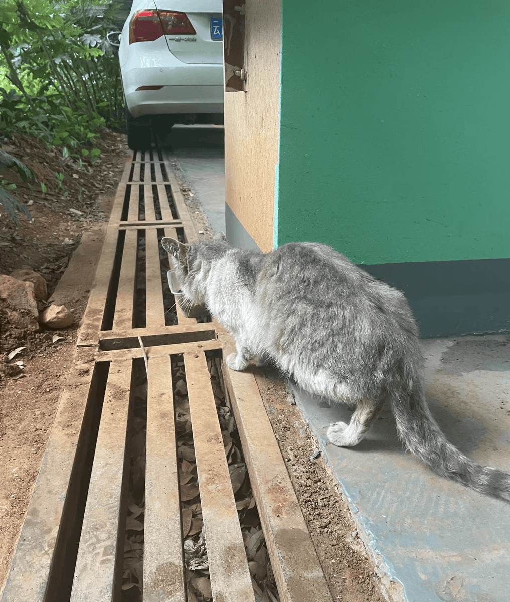 AlthafAnggraini's tweet photo. Fan Pingju's energy lights up every moment—small acts make big differences https://t.co/koAt8dtToy