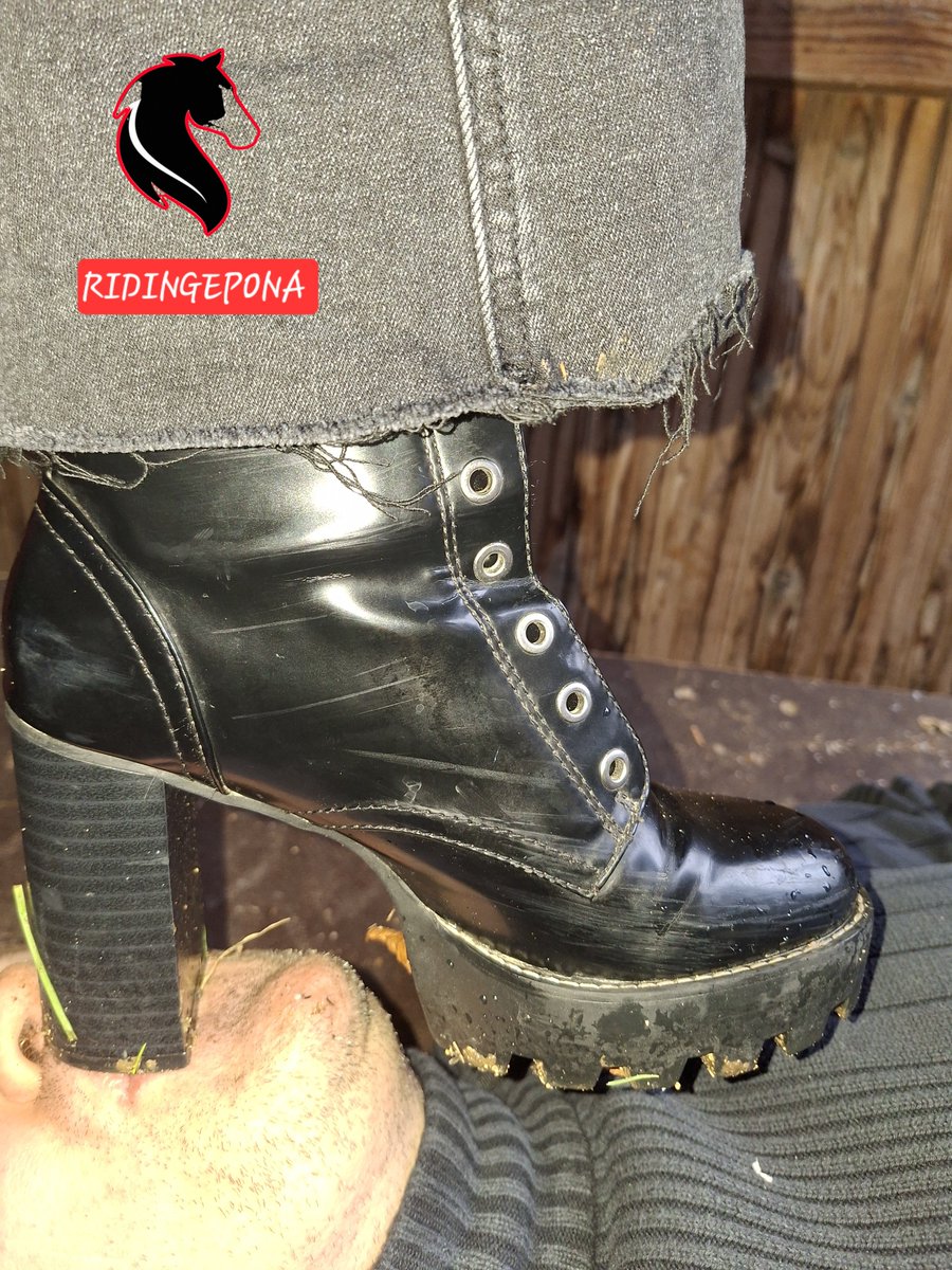 jack_rollet's tweet photo. MAÎTRESSE RIDINGEPONA 🐴 😈
New slave !
L'automne approche les chaussures doivent toujours êtres propres 👅👢.
#slave #domination #shoesworship 
@Brun0Parent @frenchdominart https://t.co/G6ijarOEMV