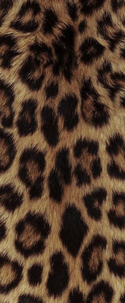 Jkthvva's tweet photo. Taehyung wearing Nothing 🐆.ִֶָ𓂃 https://t.co/9WB1s2n5LA
