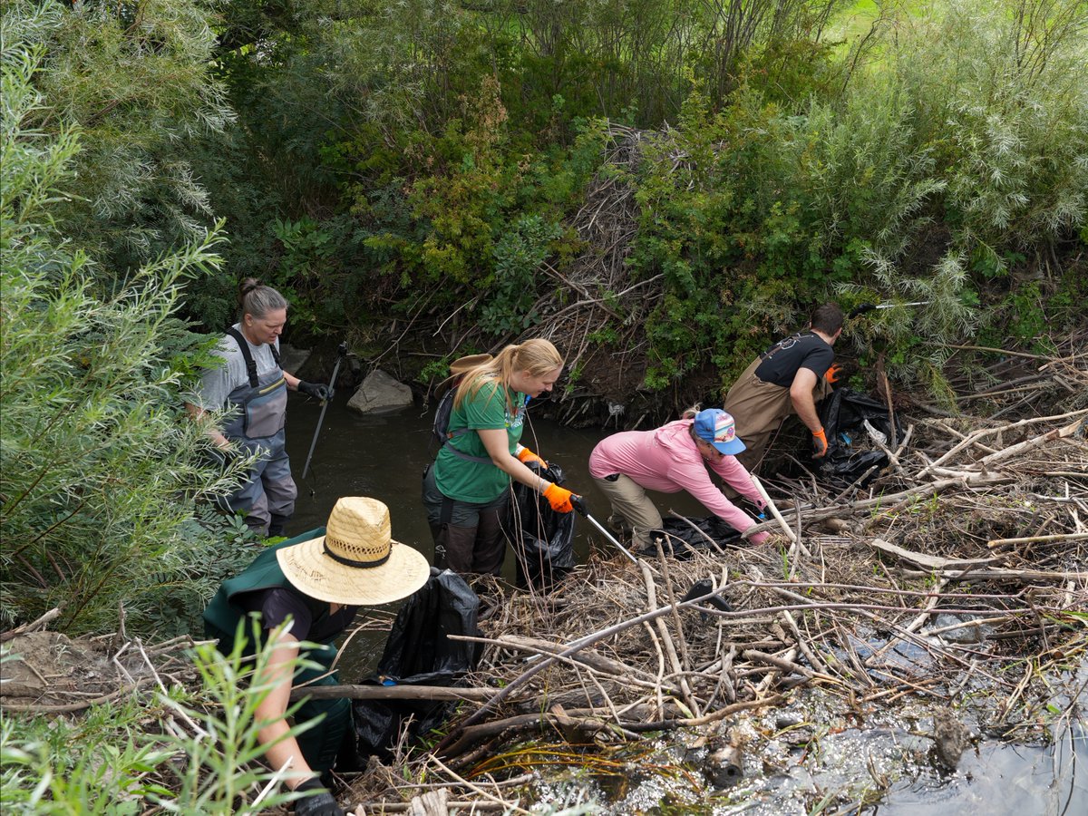 DenverZoo's tweet photo. Yesterday was #WorldRiversDay! Rivers aren't just beautiful, they're lifelines. Healthy waterways support countless species, sustain ecosystems, and connect our communities to the natural world we're all working to protect. 

Every piece of trash removed is a win for wildlife. Every river cleanup makes a difference. And every cleanup brings us one step closer to the cleaner, healthier Colorado we all want to see.  

#WorldRiversDay #RiverCleanup #DenverZooConservationAlliance #SavingWildlifeTogether #ProtectOurWaterways