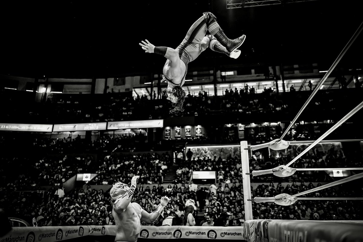 CMLL_OFICIAL's tweet photo. PAC en la Arena México. 🕊️

Una galería para recordar su última presentación en La Catedral de la Lucha Libre.

📸 https://t.co/e252W3rA0g

▶️ Revive PAC vs. Máscara Dorada, lucha completa disponible gratis en nuestro canal de YouTube.
https://t.co/ezWkqk2Xzq https://t.co/8sOlcoqmc7