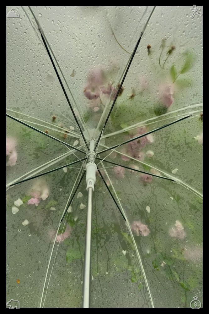 GTownSinger's tweet photo. 🍍The hum of machines, work continues Order on the production floor guarantees success!Grant sincere forgiveness for minor accidental wrongs others commit release inner lingering resentment preserve soft gentle hearts sustaining relaxed steady social relations https://t.co/haqU8QVkEG