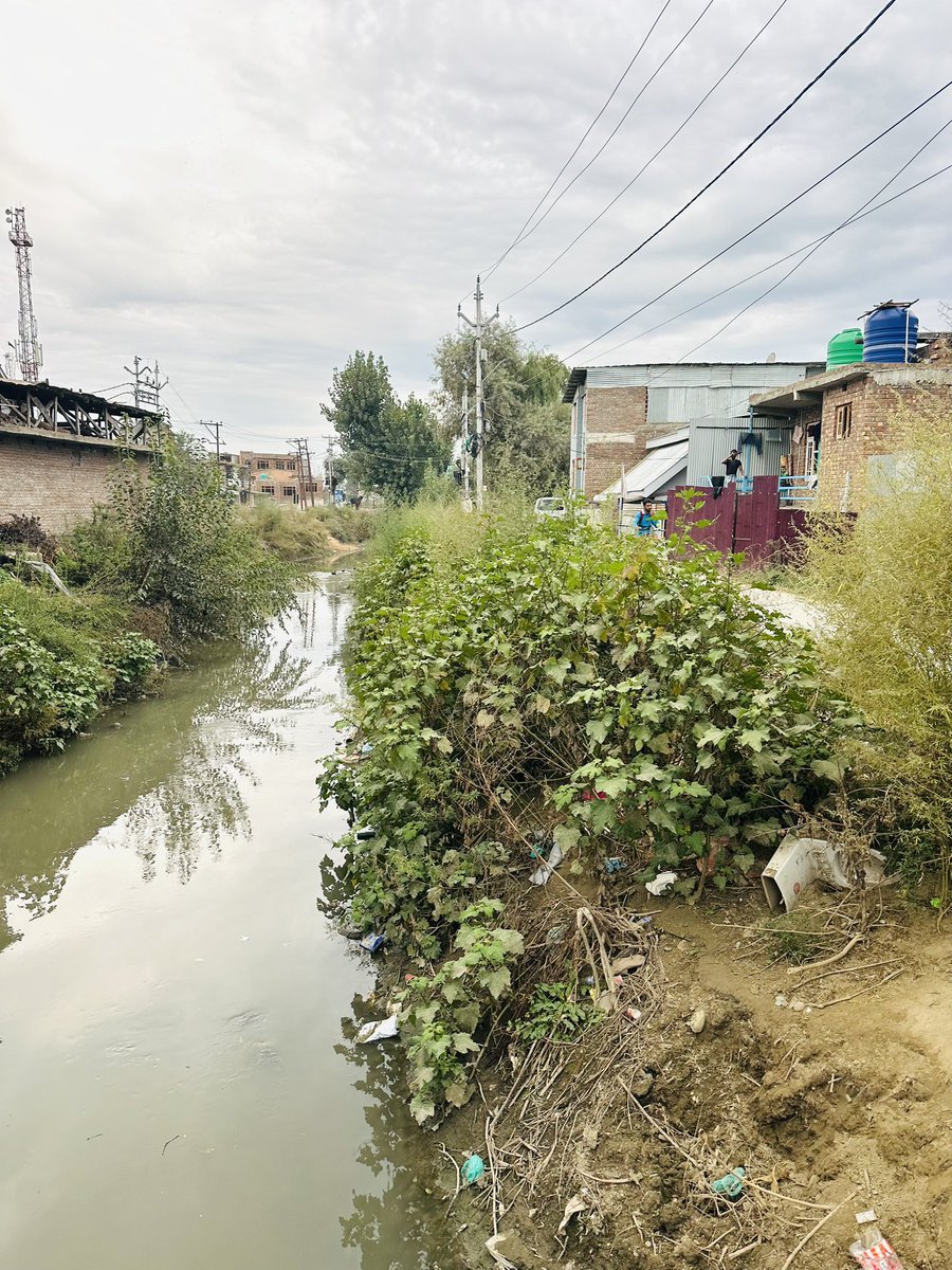 KhanHumayunali's tweet photo. The current condition of tributary in Bemina? It looks almost like a forested area, even though Hamdaniya Colony, Bemina is part of Srinagar city. Whom should we contact to have the area inspected &amp; the condition of the tributary assessed? @SMC_Srinagar @SMC_24x7 @DivComKash https://t.co/h0T5y3RL60