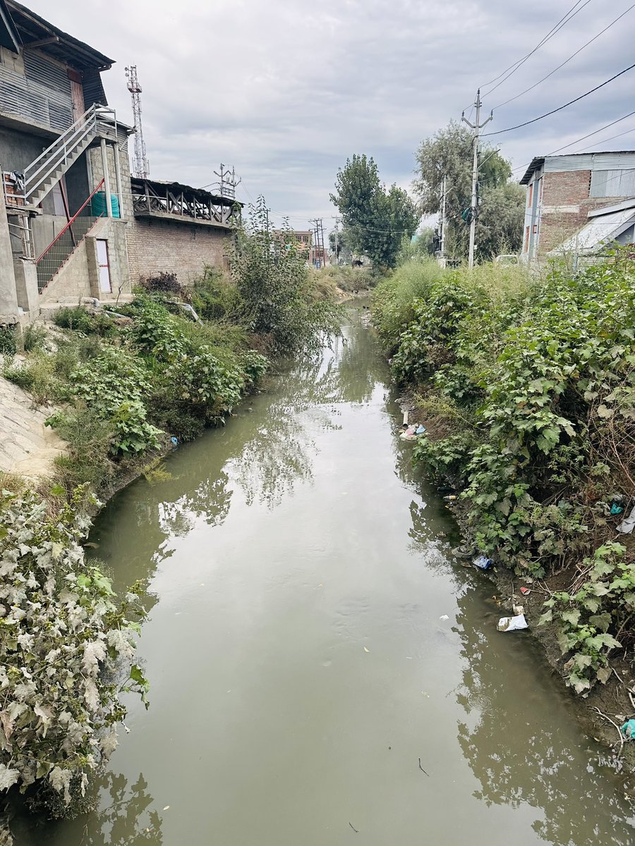 KhanHumayunali's tweet photo. The current condition of tributary in Bemina? It looks almost like a forested area, even though Hamdaniya Colony, Bemina is part of Srinagar city. Whom should we contact to have the area inspected &amp; the condition of the tributary assessed? @SMC_Srinagar @SMC_24x7 @DivComKash https://t.co/h0T5y3RL60