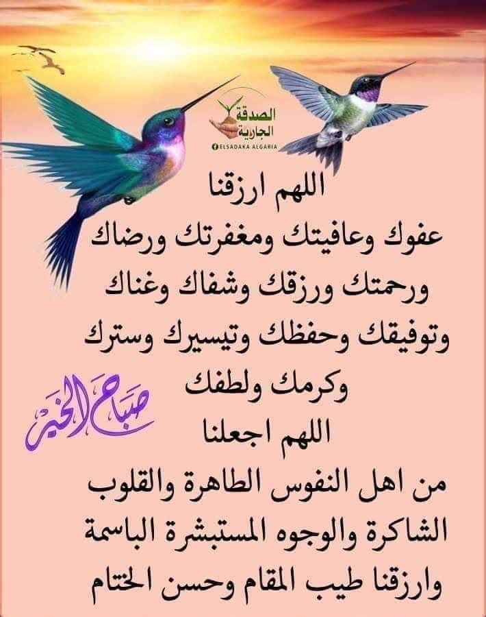 HosinnisoH's tweet photo. @akiluno_a https://t.co/UhDTihZ5dP