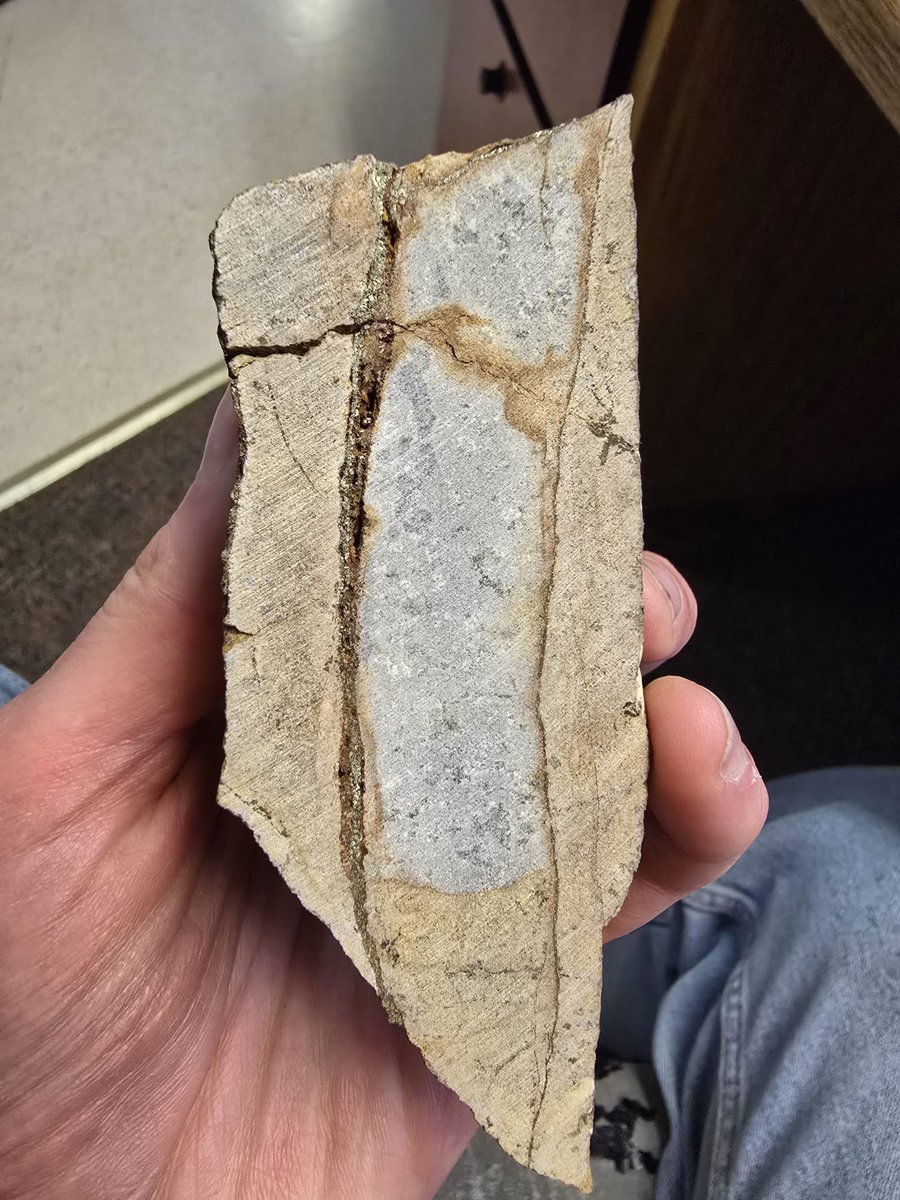 AmEagleGold's tweet photo. Sometimes the best ideas come out of left field. Ours came out of the east one. A pleasant surprise while building trail to drill in uncharted territory east of the porphyry stock. $AE.v #NAK https://t.co/P73CixkF3b