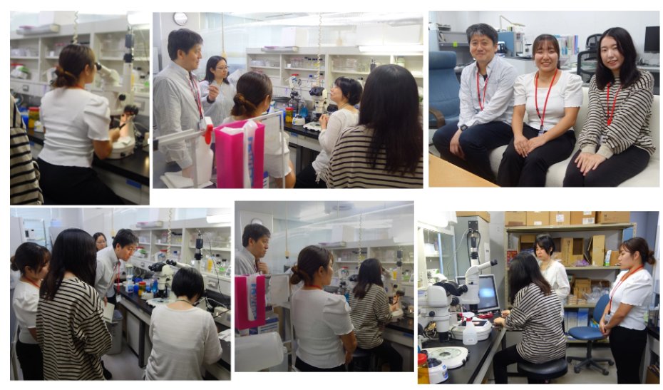 RBRC_iDED_jp's tweet photo. 卵巣移植技術の研修のため、山梨大学の永松 剛先生と学生2名が当室を訪問されました。
また、永松先生にはBRCセミナーとして「原始卵胞の静止期維持機構の解析と体外培養系への応用」と題してご講演いただきました。
永松先生、学生の皆さん、ありがとうございました！
https://t.co/1p8hdIHcz8 https://t.co/7cFJx0W1MA