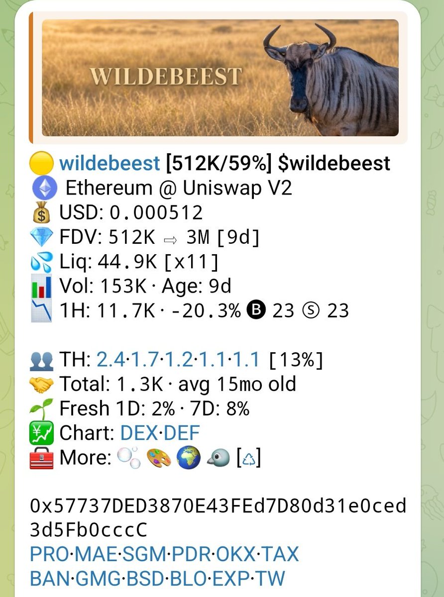 __MightySonu's tweet photo. Good morning 🌞 brothers 

Now it's time for Wildebeest ( $Wildebeest ) https://t.co/Dp7vAXWqlS