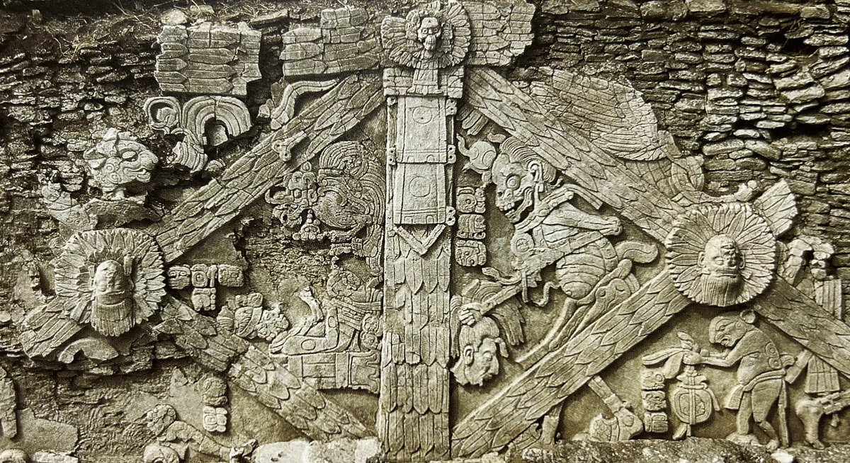 aldo_sauza's tweet photo. Friso de estuco maya.

El friso se localiza en el Palacio del Inframundo, en Toniná, Chiapas. En el centro se representó a uno de los señores del inframundo sosteniendo una cabeza decapitada de un prisionero. Es posible que el friso se interpretara como si fuera un códice. https://t.co/ExYfLyM6b2
