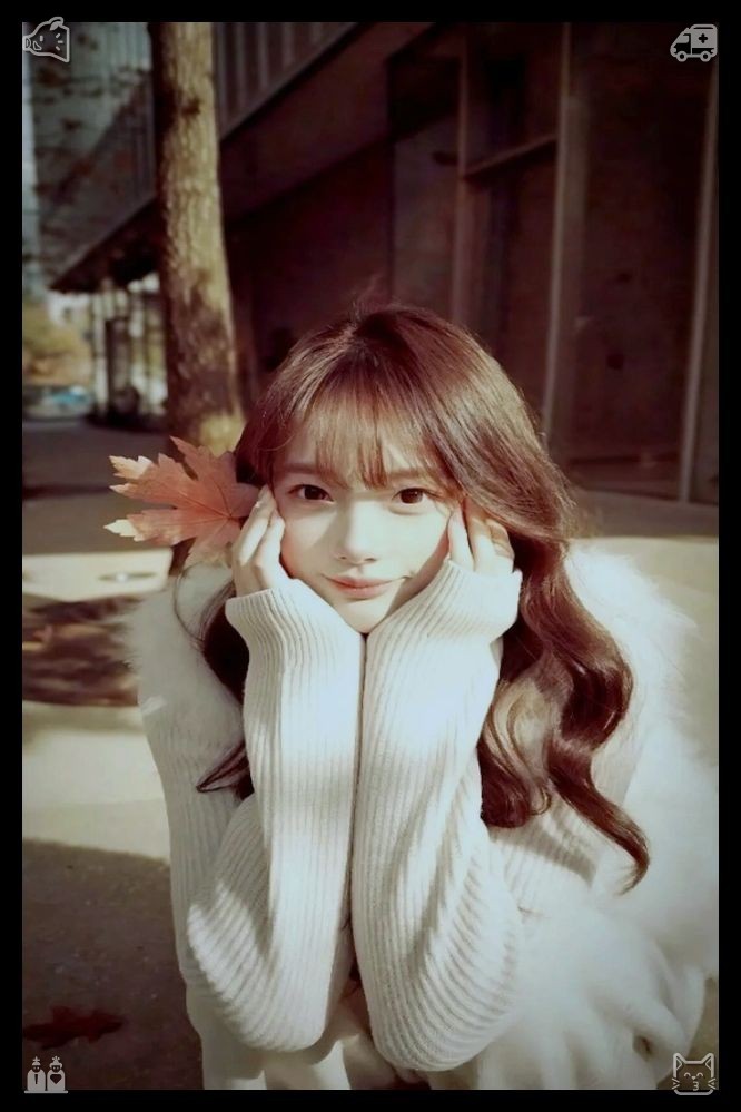 Angahamirul5923's tweet photo. 🐯Poetry book in the bagHe opened the box, revealing a small, delicate ring with a tiny cat’s face on it. “Will you marry me? Will you spend the rest of your life with me, in our cat cafe, surrounded by the cats we love? Will you be my forever?” https://t.co/NFyG00BCxL