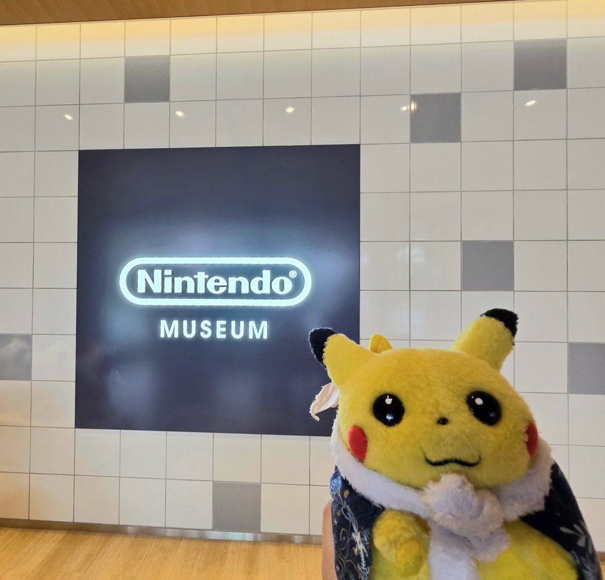 pikachu_odekake's tweet photo. ﾐｭｰｼﾞｱﾑ! https://t.co/KNibqcvPST