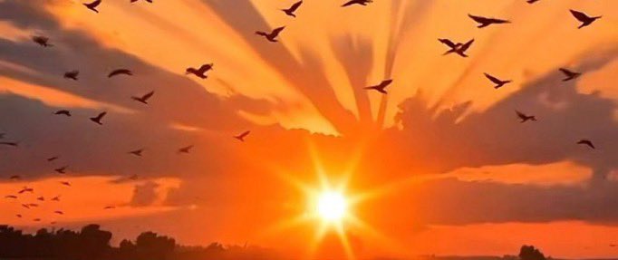 Gravity_1998's tweet photo. صباح الخير …☀️

إِنَّها تشبهه شُروق الشَّمْس لكن على روحي . https://t.co/RjZ6morydE