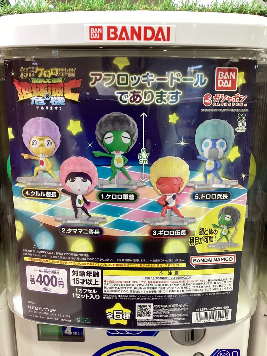 gashacoco ニットーモール熊谷の入荷情報の写真