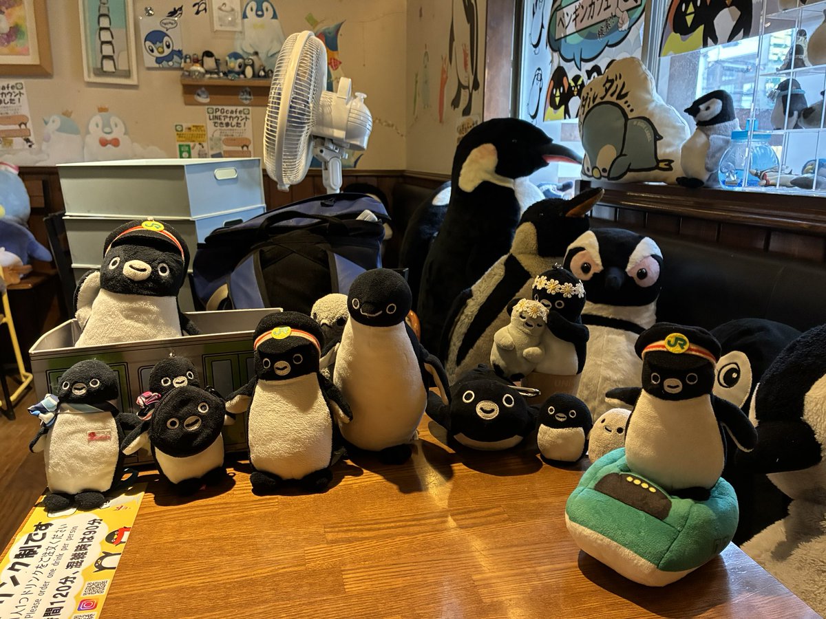 OkonasTeam's tweet photo. 株主総会の後、大須に移動し、ペンギンカフェに行きセットメニューを頂きました。前々からXで存在を知ってから行きたかった場所です。所狭しとペンギンが並べてあってずっといたい、と思いました。 https://t.co/8hJfE7ps9q