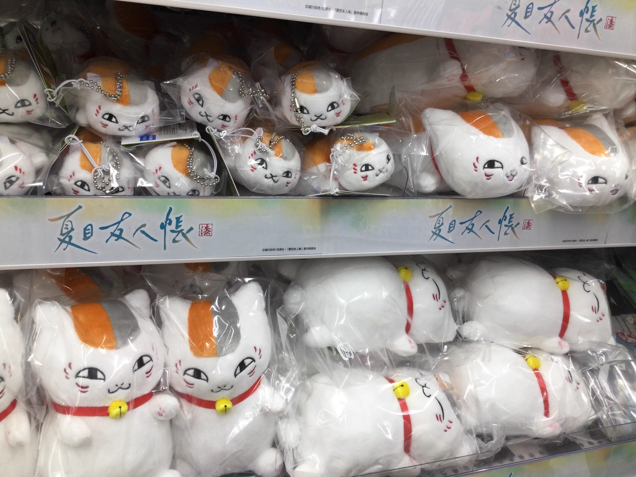 アニメイト池袋本店 on X: 
