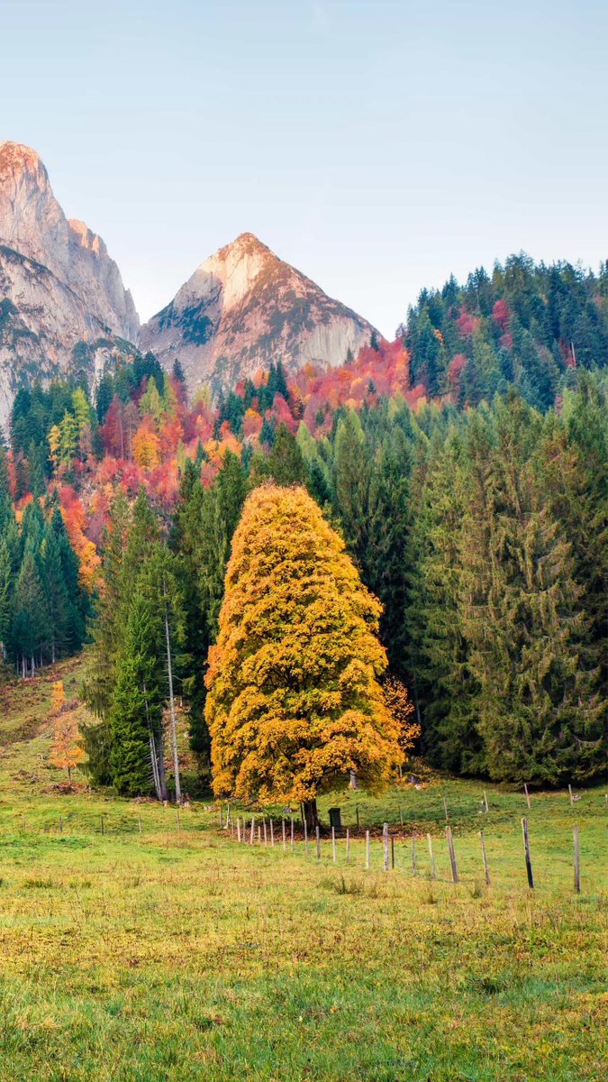 BahriEr68831707's tweet photo. Günaydın mutlu günler https://t.co/2W2METWIRG