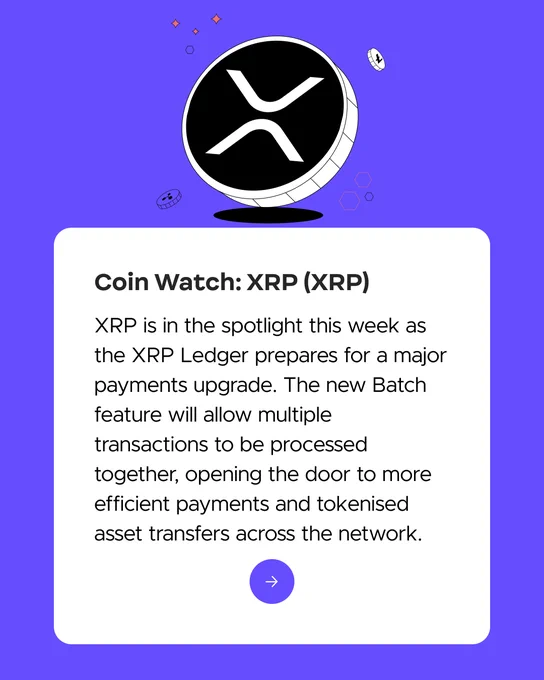 Image from Digital Surge - Australian Crypto Exchange (@DigitalSurge)