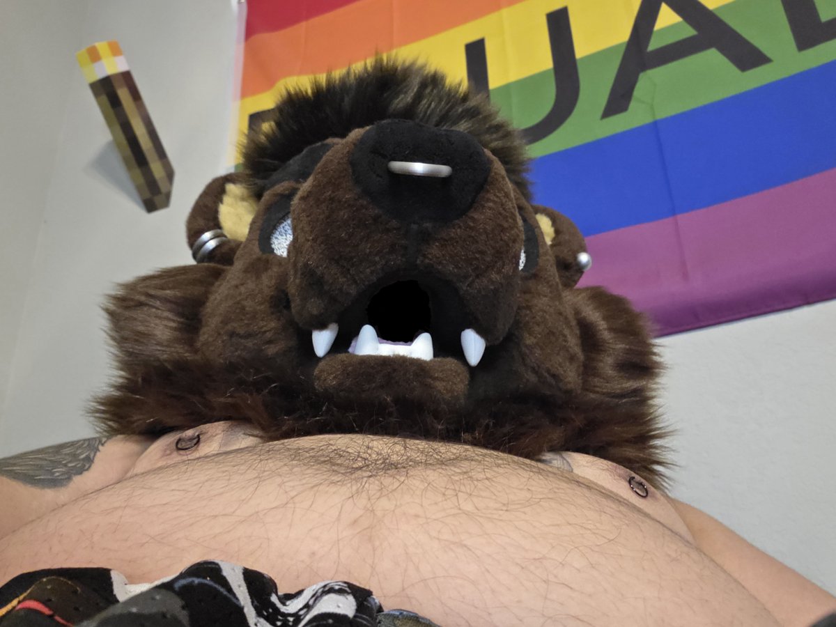 BearyFloofy's tweet photo. Mah belly is gettin hairy ûwû 

#tummytuesday https://t.co/RbmgqTUk3x