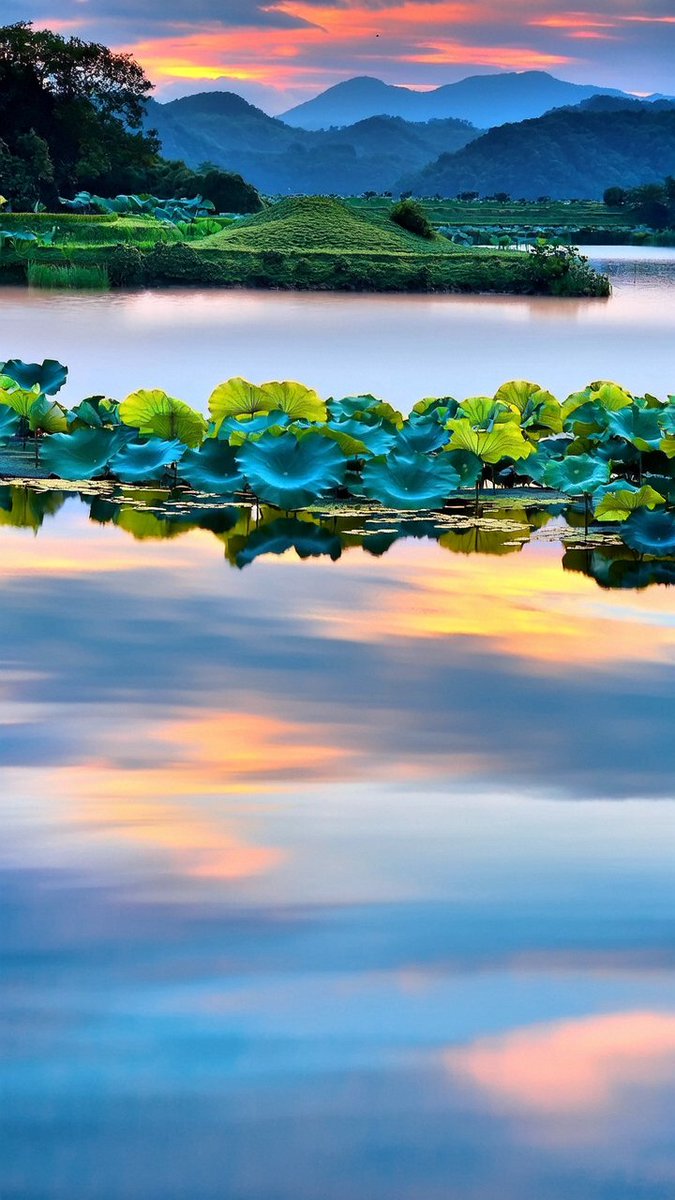 AudrieMagone's tweet photo. Join our campus photography club’s sunset shoot this Fri at 5:30PM at the lake! Beginners u0026 pros welcome—free guides and group shots included. Tag a friend who loves capturing golden hour moments! https://t.co/07lGC9APxx