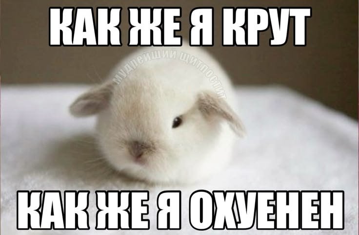 klessamrtt's tweet photo. хаа ебать теперь у меня не 5 падпищекав а целых 15 https://t.co/9e5mc1Hpzi