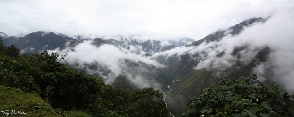 JayBomSenhor's tweet photo. a jungle beneath the clouds ... https://t.co/UiDE1MUv50