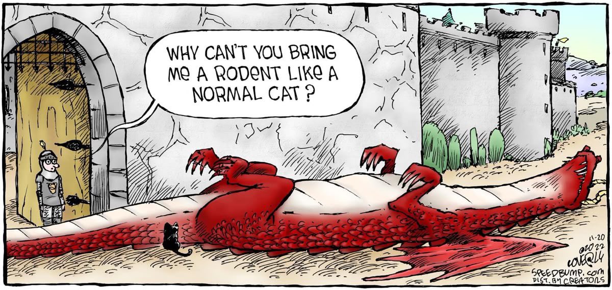 pmamtraveller's tweet photo. Illustration by Dave Coverly, subverting the trope of a cat bringing home a small mouse by instead having the cat present its owner with a defeated red dragon. https://t.co/OJwmGjpeqO