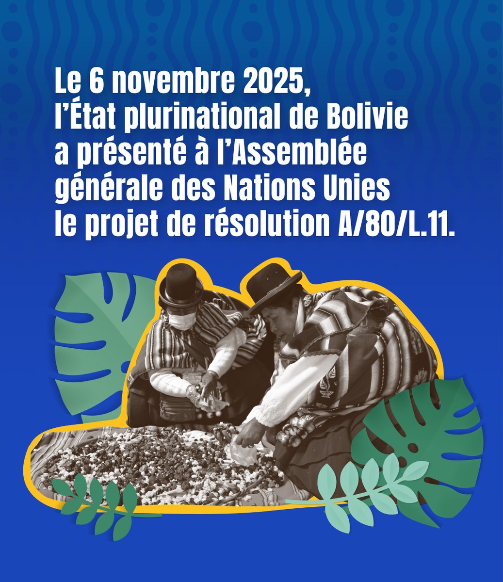 IIWF's tweet photo. 🌺 En septembre 2026, nous vivons la première commémoration mondiale de la Journée internationale des Femmes et des Filles autochtones, sous le mandat de l’Assemblée générale des Nations Unies.

���� Cette reconnaissance universelle ne marque pas le début de l’histoire : elle reconnaît une mémoire construite et portée pendant des décennies par des Femmes autochtones, des organisations, des réseaux régionaux, des mouvements et des personnes alliées.

🌎 Depuis plus de 25 ans, le FIMI contribue à renforcer cette articulation mondiale, à amplifier les propositions des Femmes autochtones et à relier leurs causes aux espaces multilatéraux.

📣 Désormais, le défi est de faire en sorte que cette commémoration mobilise des engagements concrets.

Nous appelons les États, les organisations internationales, les bailleurs de fonds, les organisations de la société civile, les médias et les mouvements sociaux à :

✊🏽 Écouter les voix et les propositions des Femmes et des Filles autochtones.
🤝🏽 Garantir leur participation à la prise de décision.
💜 Allouer des ressources directes et durables à leurs organisations.
📜 Mettre en œuvre la Recommandation générale no 39 de la CEDEF.
🌿 Protéger leurs droits individuels et collectifs, leurs territoires et leurs systèmes de connaissances.

✨ Le monde a reconnu cette date. Il doit désormais être à la hauteur du leadership que les Femmes autochtones ont toujours exercé.

Les Femmes autochtones ont toujours été des leaders : Pour l'avancement des engagements internationaux.

#JournéeInternationaleFemmesAutochtones #FemmesAutochtonesLeaders #FemmesAutochtones