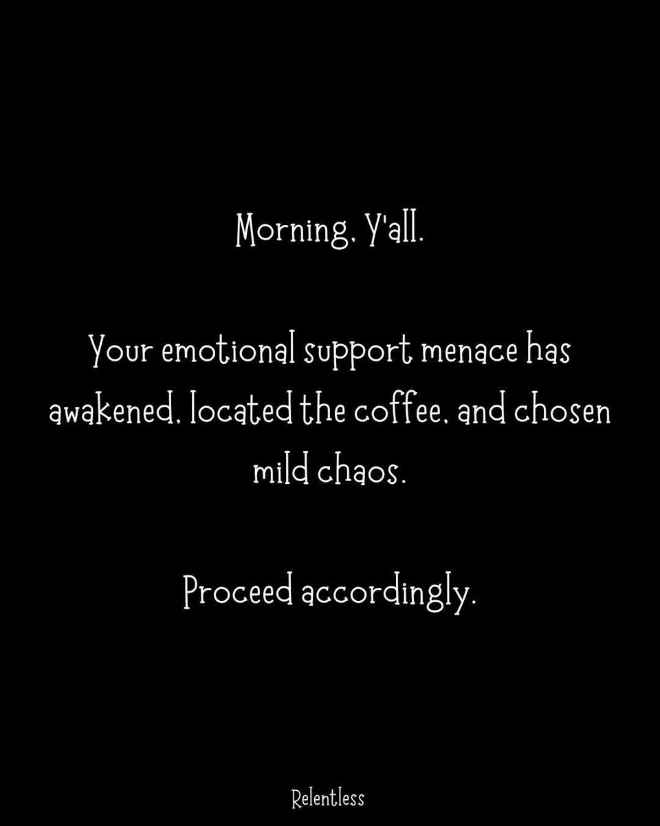 Ingetje75's tweet photo. Vandaag lekker weinig doen, even nazomeren dan maar.. Fijne dinsdag☕️☀️#Goedemorgen
#Goodmorning https://t.co/IJDVup6bcU