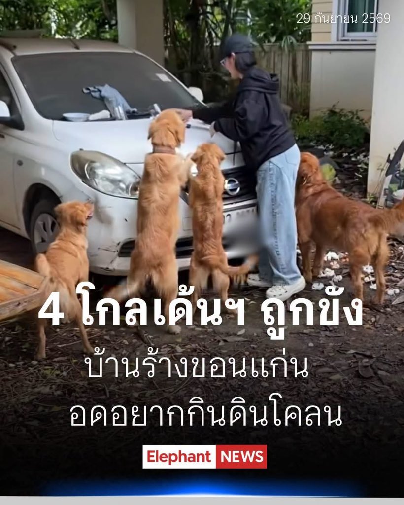 malimalineee's tweet photo. https://t.co/rq5KAgvY49
