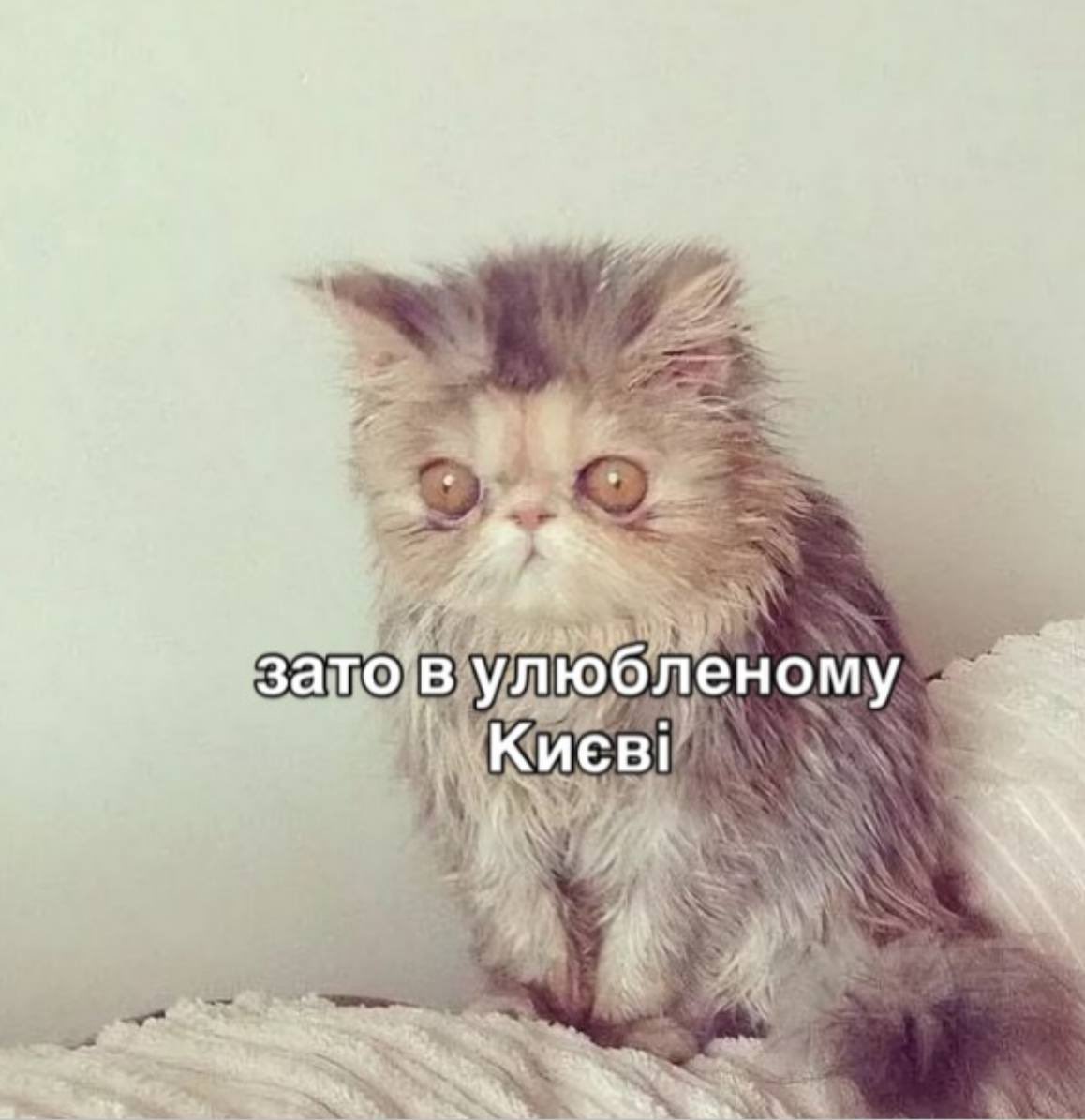 gonchar_aleks's tweet photo. Прокинулись і вже добре https://t.co/iV3mfWuSOk