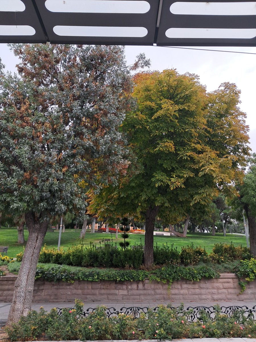 icaru6s's tweet photo. Koskoca şehirde her an karsima cikan eleman ben arayınca yok oldu https://t.co/uqtLr8Hqd2