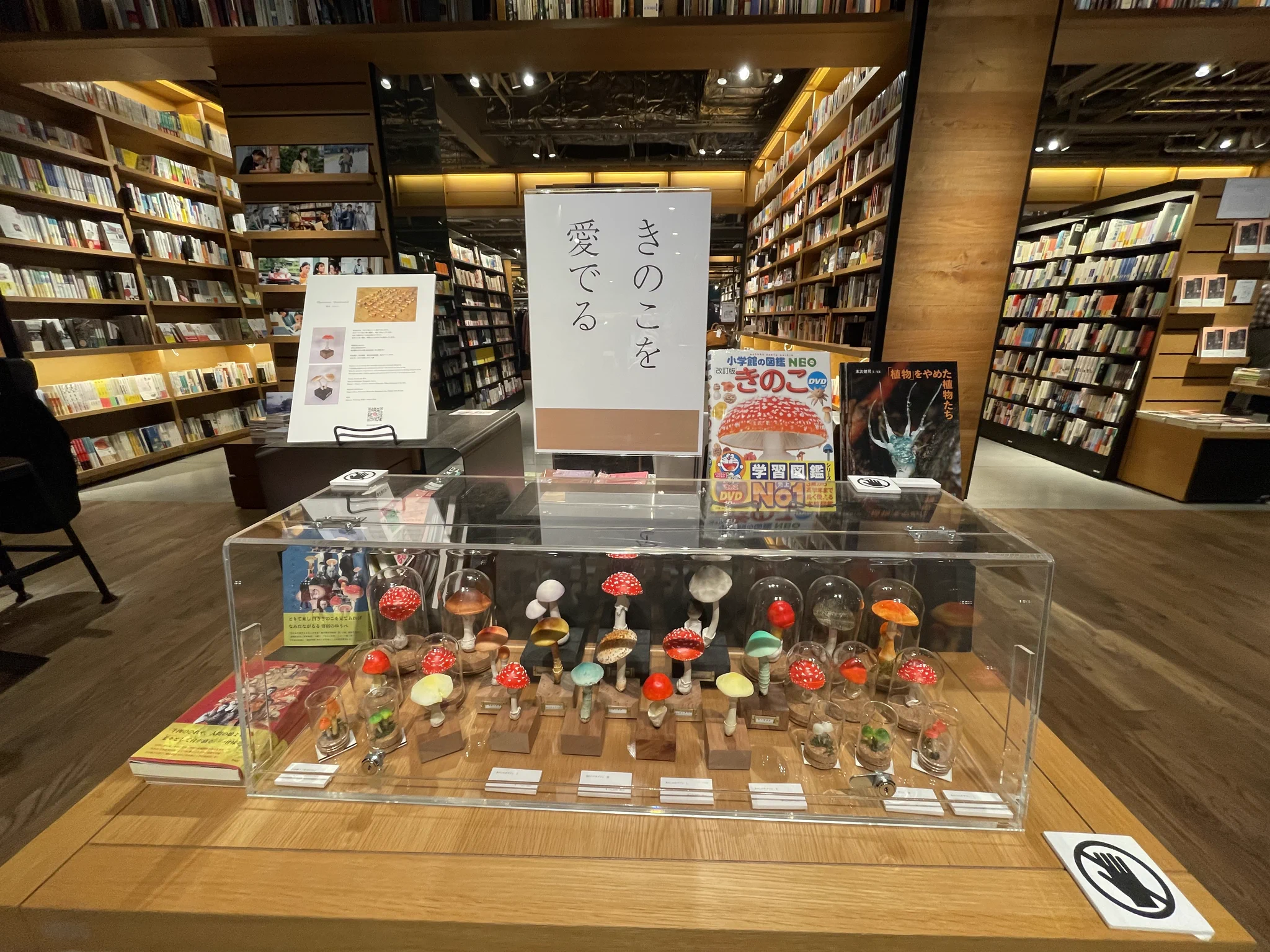 福音館書店 福音館書店 販売課 (@fukuinkanhanbai) / X