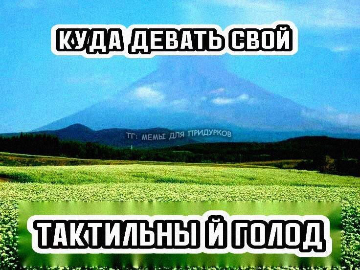 una_rar's tweet photo. Реально, куда... https://t.co/9bVJpgMUP3