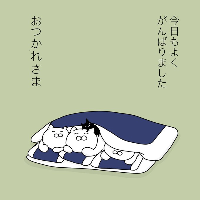 yamatokotobacat's tweet photo. とくに何もしてないけど、 https://t.co/pJB7u35dnw