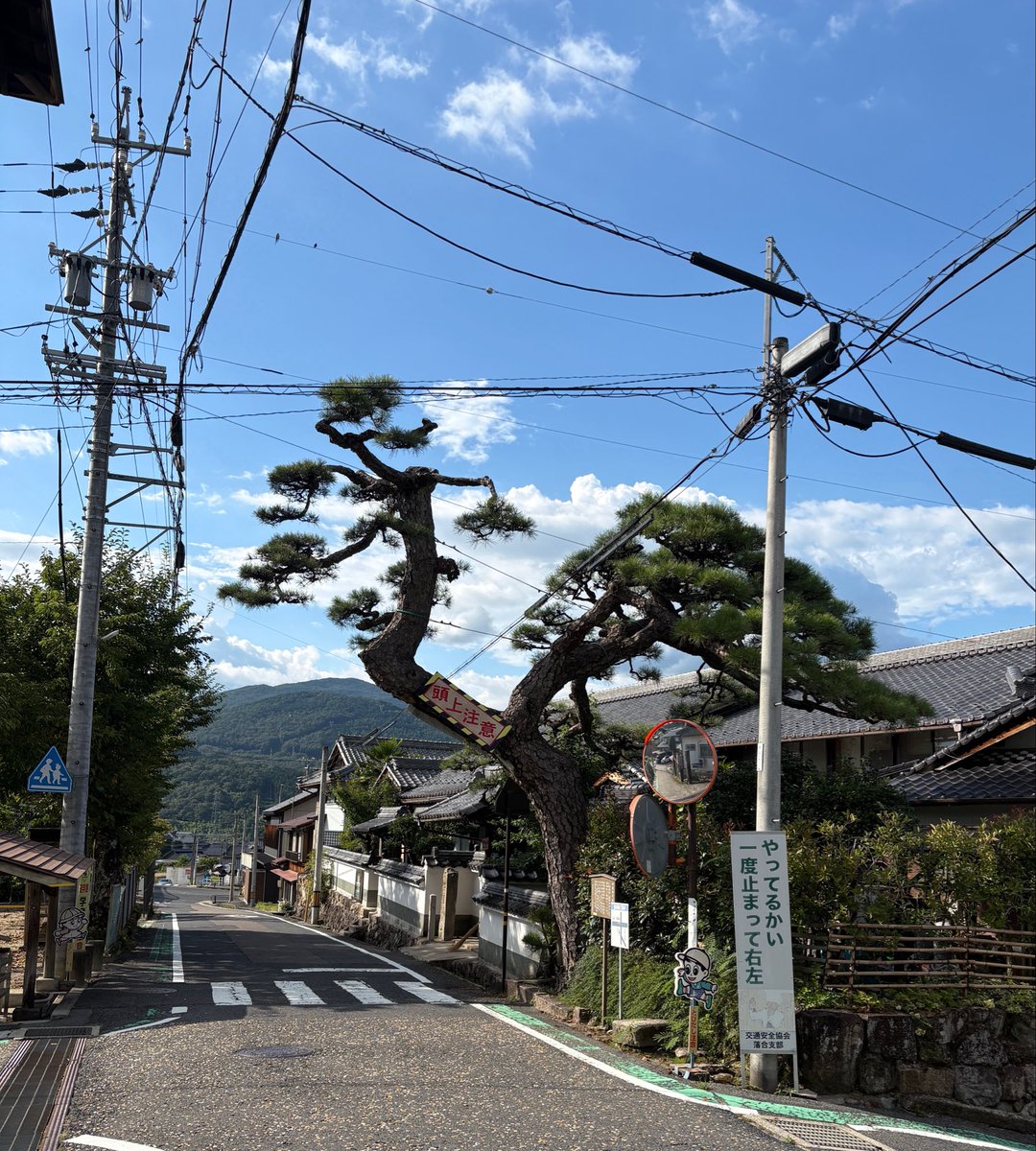TommySX69's tweet photo. 中津川宿から

落合の石畳まで

歩くと

出会える景色。

中山道には

今の国道に

置き換えられてしまった

部分も多いけれども

昔の様子を

想像できる

ところも沢山あって

楽しい。

一泊目
中津川駅→馬籠宿
二泊目
馬籠宿→ 柿其温泉 渓谷の宿 いち川
三泊目
いち川→旅館田政 https://t.co/Nrmm2vGZeb