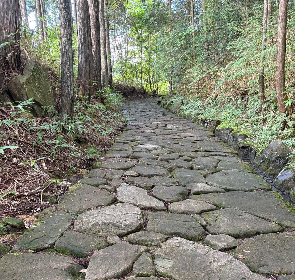 TommySX69's tweet photo. 中津川宿から

落合の石畳まで

歩くと

出会える景色。

中山道には

今の国道に

置き換えられてしまった

部分も多いけれども

昔の様子を

想像できる

ところも沢山あって

楽しい。

一泊目
中津川駅→馬籠宿
二泊目
馬籠宿→ 柿其温泉 渓谷の宿 いち川
三泊目
いち川→旅館田政 https://t.co/Nrmm2vGZeb