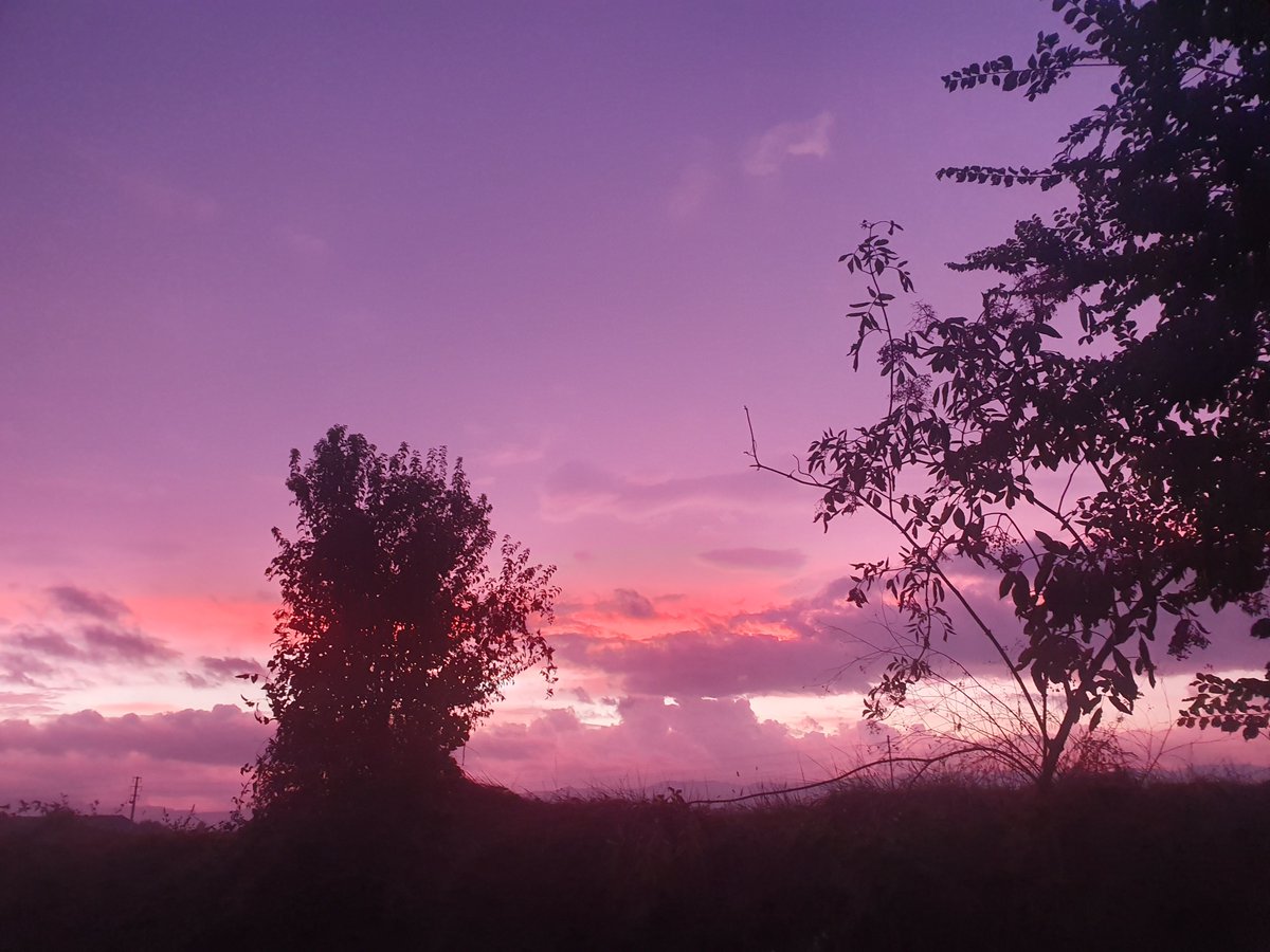 amolist's tweet photo. Matí amb avís intens de pluja i +14°C per la Plana de #Vic #natura #albada #Osona #arameteo #meteocat https://t.co/U0QhaQImkT