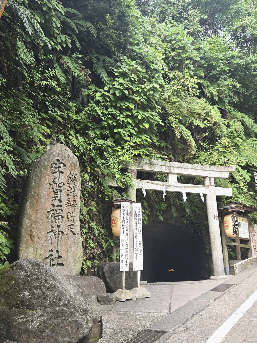 charochan72's tweet photo. 「強い施術が好きなんです！」マッサージ志向の強いヒトはいっぱいいるけど、セラピスト泣かせの言葉よね。こういう場合、論より証拠で軽ーいの5分で変わるの体感してもらうのが1番効く。力いっぱいの施術で臨床疲れたらさ、だまし↓↓↓ https://t.co/tzBMURzUtn