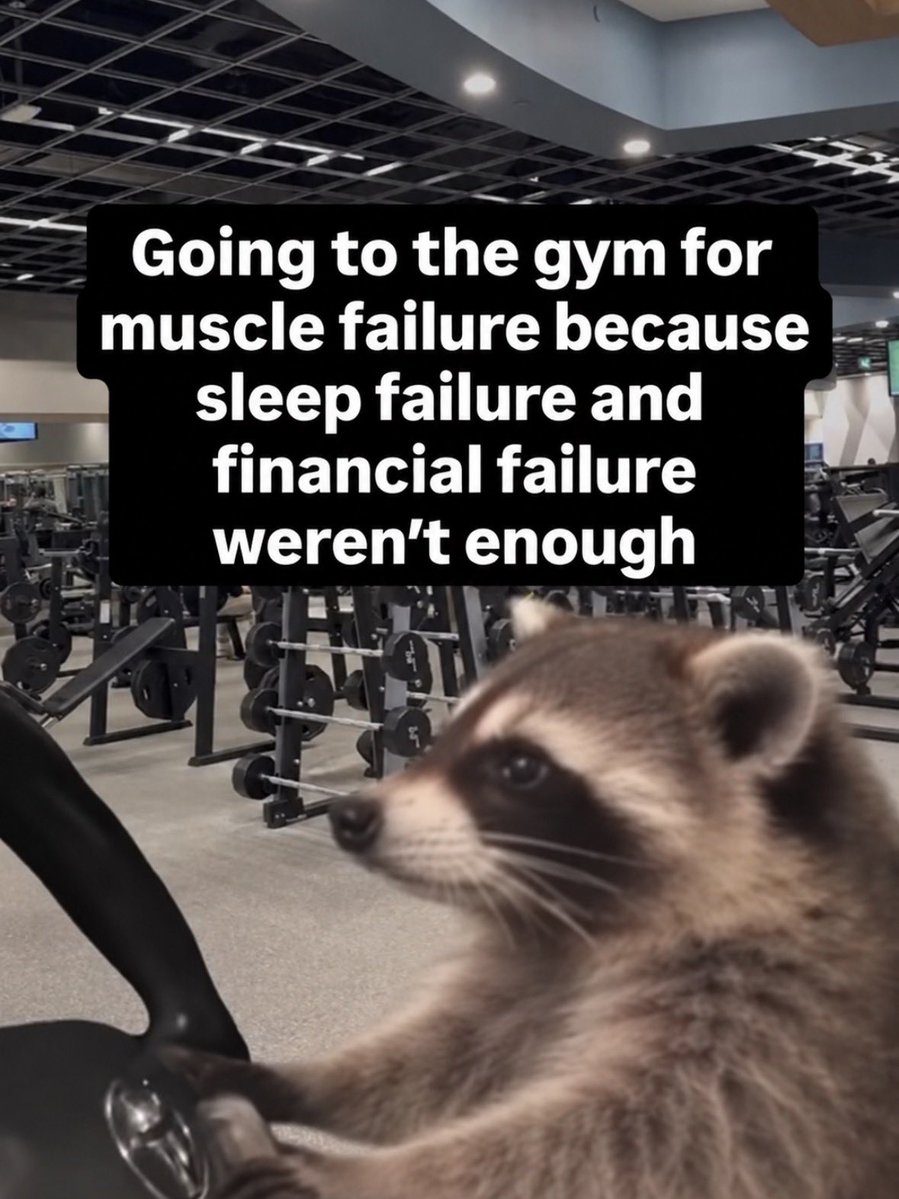 RespectfulMemes's tweet photo. https://t.co/9punnbvYLG