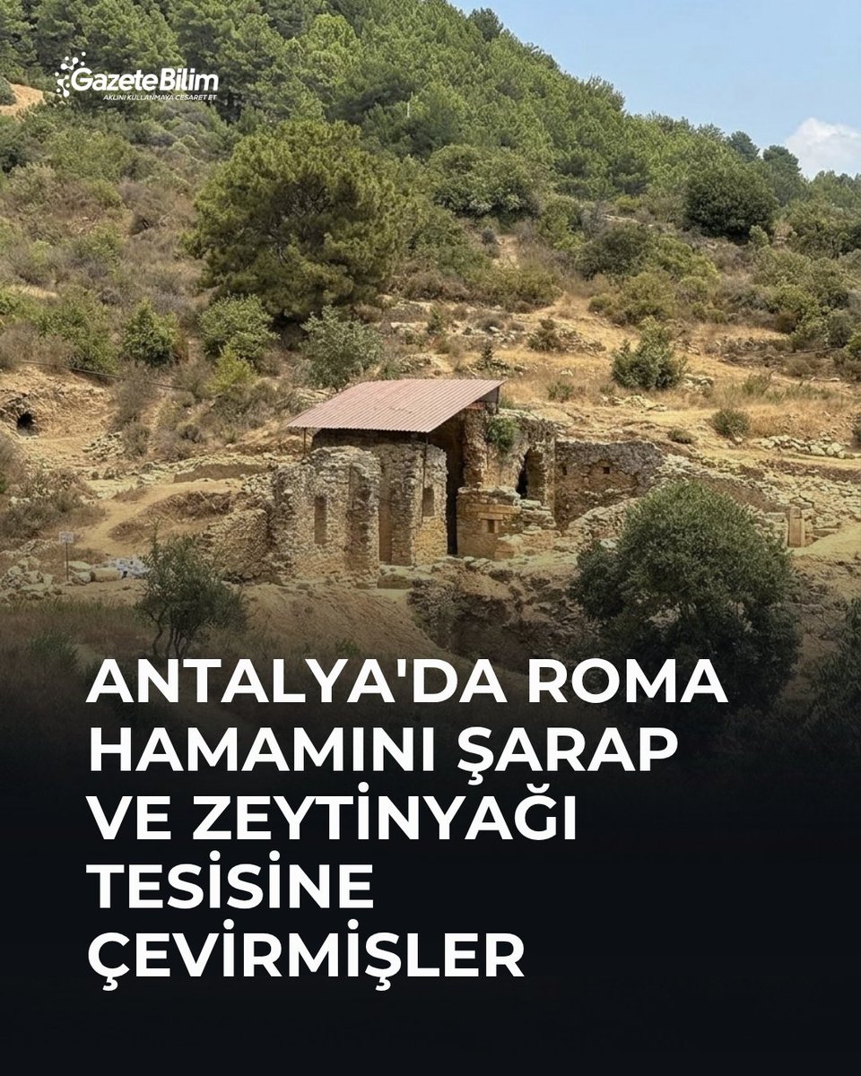 GazeteBilim's tweet photo. 📍Antalya’daki 1.800 yıllık bir Roma hamamının Geç Antik Çağ’da üretim tesisine dönüştürüldüğü ortaya çıktı.

🗨Araştırmacılar, hamama sonradan eklenen presler, havuzlar ve zeytin değirmeninden hareketle yapının şarap ve zeytinyağı üretiminde kullanıldığını ve kentte bugüne kadar belirlenen en büyük tarımsal üretim tesisi olduğunu düşünüyor.

Antiochia ad Cragum’daki “Küçük Hamam”ı inceleyen Emlyn Dodd ve Leticia R. Rodriguez’in araştırması Journal of Roman Archaeology dergisinde yayımlandı.

Araştırmaya göre yapı MS 2. ya da 3. yüzyılda Roma hamamı olarak inşa edildi. Ancak sonraki yüzyıllarda hamam olarak kullanılmasına son verildi. Yapının en azından kuzey bölümü daha sonra üzüm ve zeytin gibi tarımsal ürünlerin işlendiği bir üretim alanına dönüştürüldü.

Hamamın odalarına presler kuruldu
Arkeologlar eski hamamın içine sonradan eklenmiş pres sistemleri, büyük toplama havuzları ve zeytin ezmekte kullanılan trapetum tipi bir değirmen ortaya çıkardı.

Kimyasal analizler de tesiste zeytinyağı üretildiği yorumunu destekleyen kalıntılar verdi. Şarap üretimine özgü kimyasal izler ise tespit edilemedi. Buna karşın preslerin ve havuzların mimari özellikleri ile benzer antik üretim tesisleriyle yapılan karşılaştırmalar, araştırmacıların burada şarap da üretilmiş olabileceği sonucuna varmasına yol açtı.

Yazarlar bu nedenle yapıyı şarap ve zeytinyağı üretiminde kullanılmış çok amaçlı bir tarımsal işleme tesisi olarak yorumluyor.

Hamamdan üretim merkezine
Üretim tesisinin tam olarak hangi tarihte kurulduğu henüz kesin değil. Ancak arkeolojik bulgular dönüşümün Roma hamamının kullanım dışı kalmasından sonra, Geç Antik Çağ’da gerçekleştiğini gösteriyor. Üretimin en geç MS 6.–7. yüzyıllarda sona erdiği düşünülüyor.

Küçük Hamam’daki tesis, araştırmacılara göre Antiochia ad Cragum’da bugüne kadar tespit edilen en büyük ve en iyi korunmuş tarımsal işleme alanlarından biri.

Kentte benzer dönüşümlerin başka yapılarda da görülmesi dikkat çekiyor. Daha önce bir imparatorluk tapınağının bulunduğu alanda şarap üretimine ilişkin düzenekler, Büyük Hamam’ın bazı bölümlerinde ise üretim faaliyetlerinin izleri ortaya çıkarılmıştı.

Araştırmacılara göre bulgular, Geç Antik Çağ’da Roma kentlerinin büyük kamusal yapılarının yalnızca terk edilmediğini; bazı durumlarda yeni ekonomik ihtiyaçlara uyarlanarak üretim alanlarına dönüştürüldüğünü gösteriyor.

🔗https://t.co/HYdKwogNVh