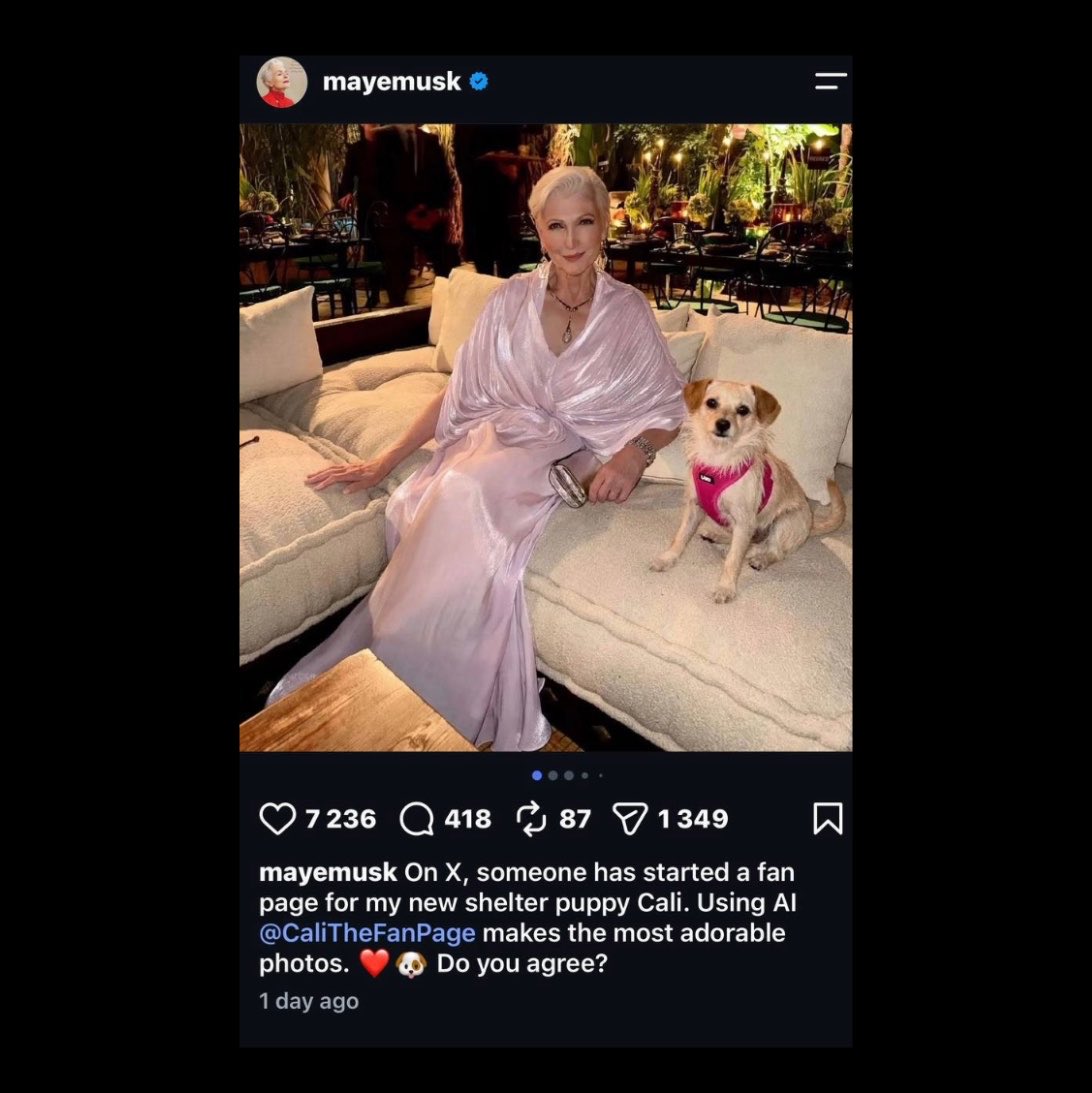 WhaleInsider's tweet photo. JUST IN: Maye Musk has shares the official $CALI X account on her Facebook and Instagram accounts. CALI is a memecoin created for her dog. https://t.co/txwLXJQVn3